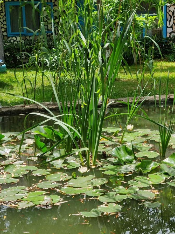 Pensiunea Iubire De Delta " La Traian " Murighiol Exterior photo